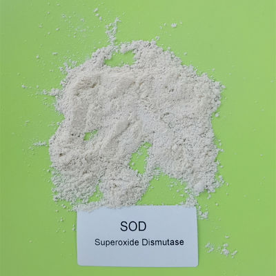PH 4-11 Dysmutaza ponadtlenkowa SOD Proszek 50000iu/g