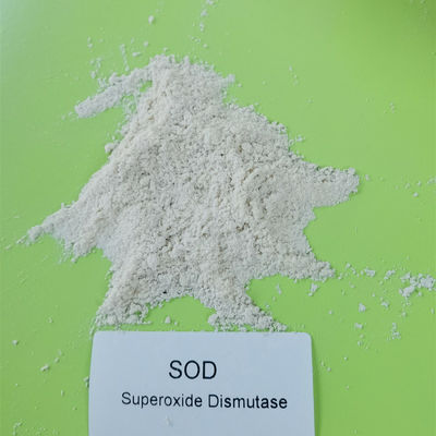 99% biały proszek dysmutazy ponadtlenkowej SOD 500000 j.m./g