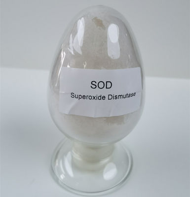 Test 50000iu / g Licencja na produkcję żywności SOD Proszek dysmutazy ponadtlenkowej